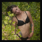 photos